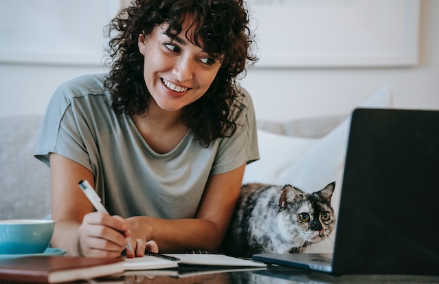 11 Ways for Faster Success Pet Business Ideas| Start Easily