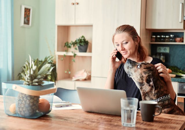 How Much Does a Pet Sitting Business Make