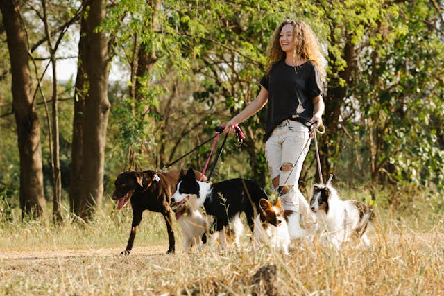 How to Start a Dog Walking Business in Your Neighborhood