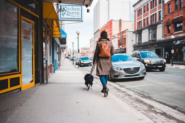 How to Start Dog Walking Business