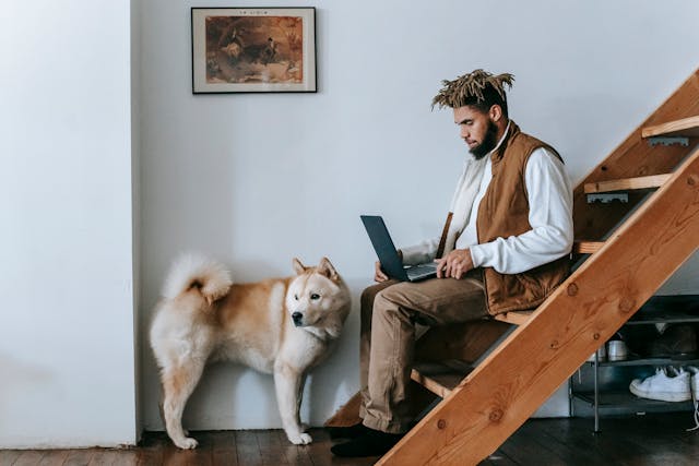 How to Start a Dog Walking Business in Your Neighborhood from Home