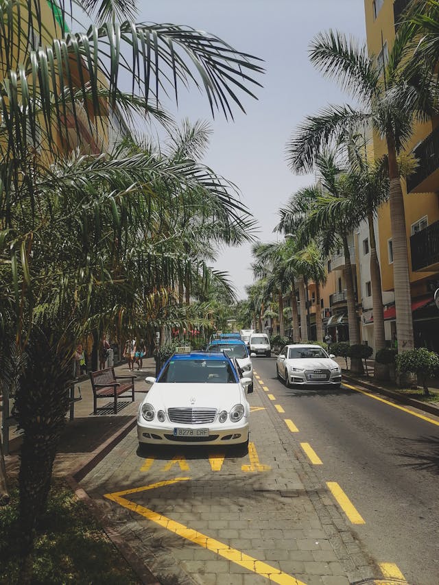 Target Market for Car Rental