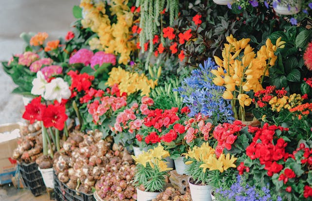 How to Start a Floral Business from Home