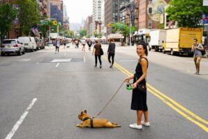 Target Market for Dog Walking