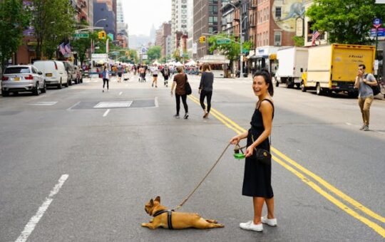 Target Market for Dog Walking