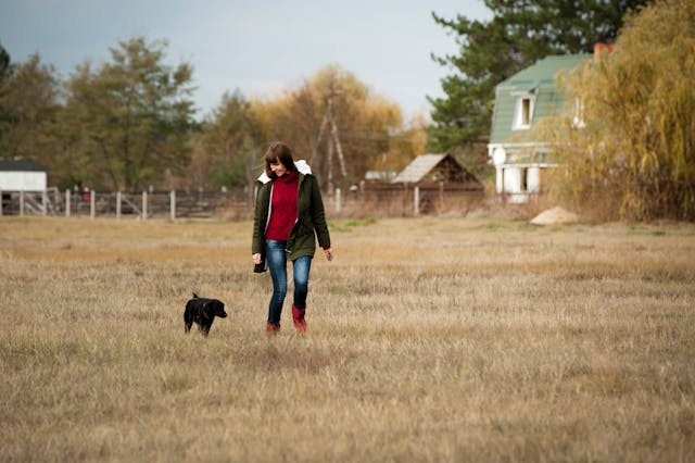 How to Sell a Dog Walking Business