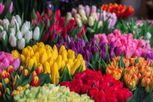 Target Market for flower Shop