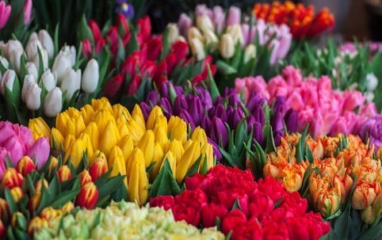 Target Market for flower Shop