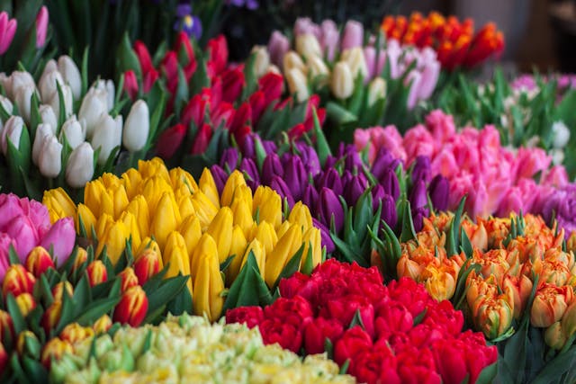Target Market for flower Shop